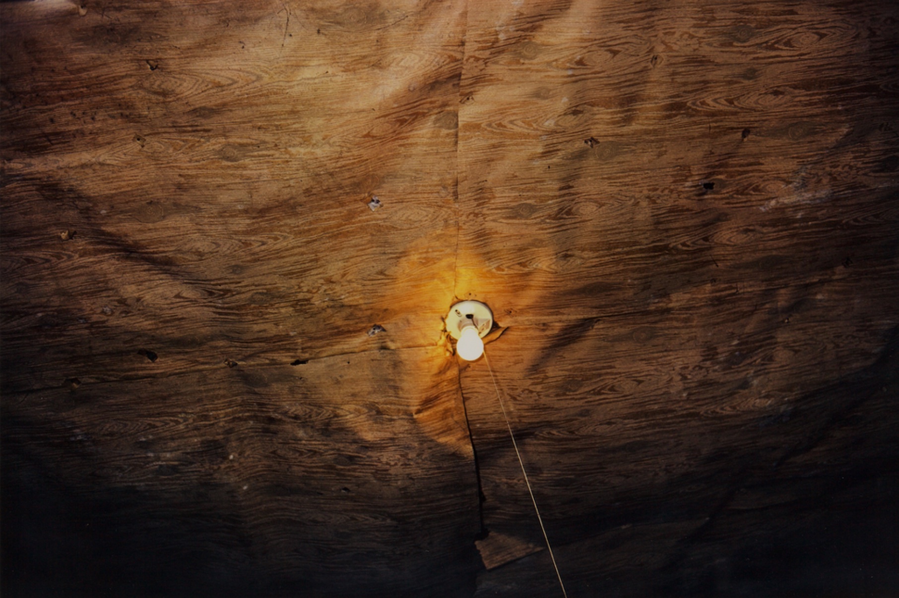 Untitled (light bulb on plywood ceiling) Greenwood, MS, 1973 © William Eggleston